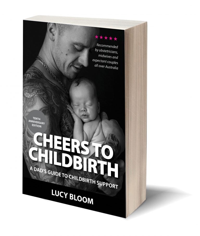 Cheers to Childbirth by Lucy Bloom, softcover book