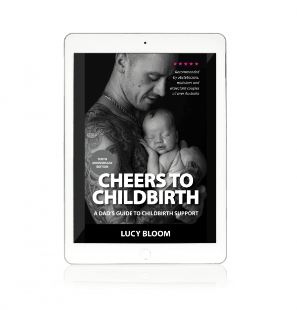 ebook Cheers to Childbirth